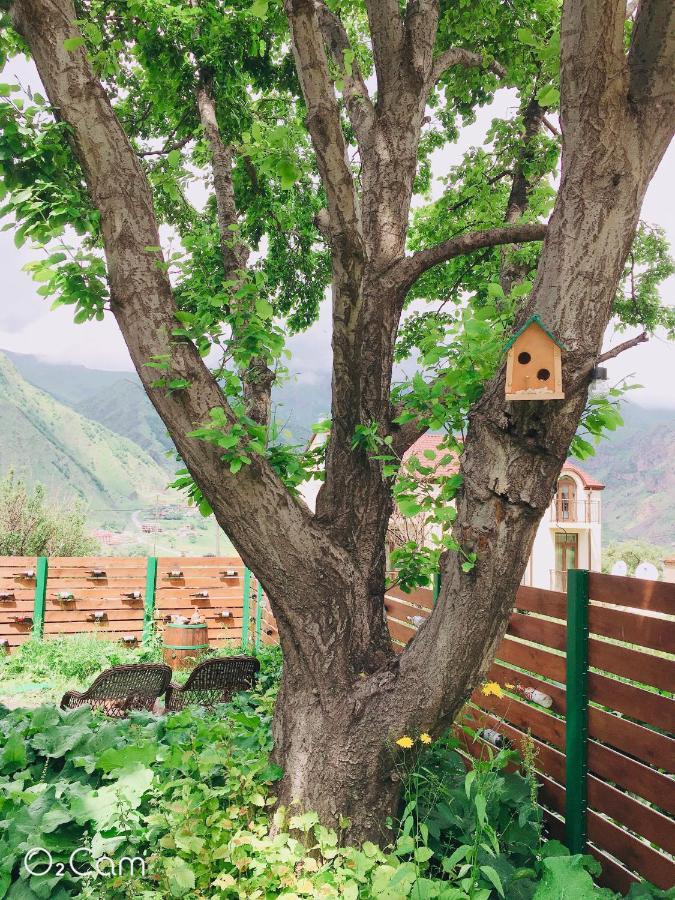 Greenhill Kazbegi Esterno foto